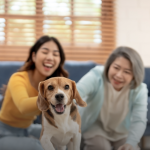 Mascotas: un vínculo mucho más allá de la compañía